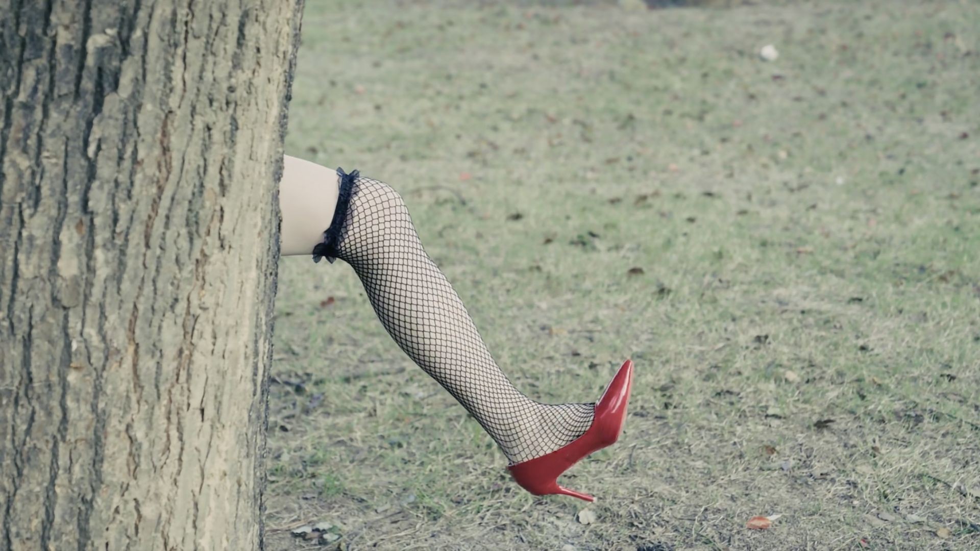 សើចចុកពោះ